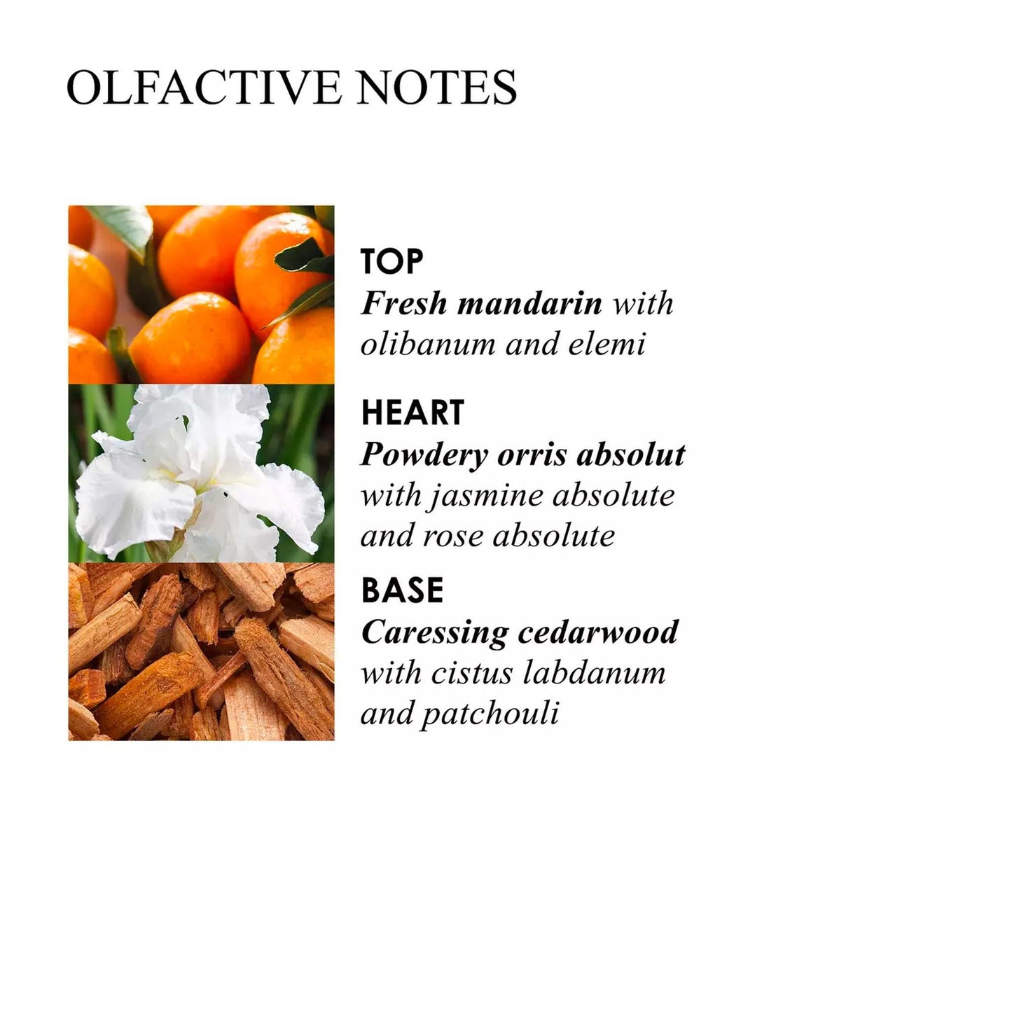 Suede Orris Bath & Shower Gel - Cosmos Boutique New Jersey