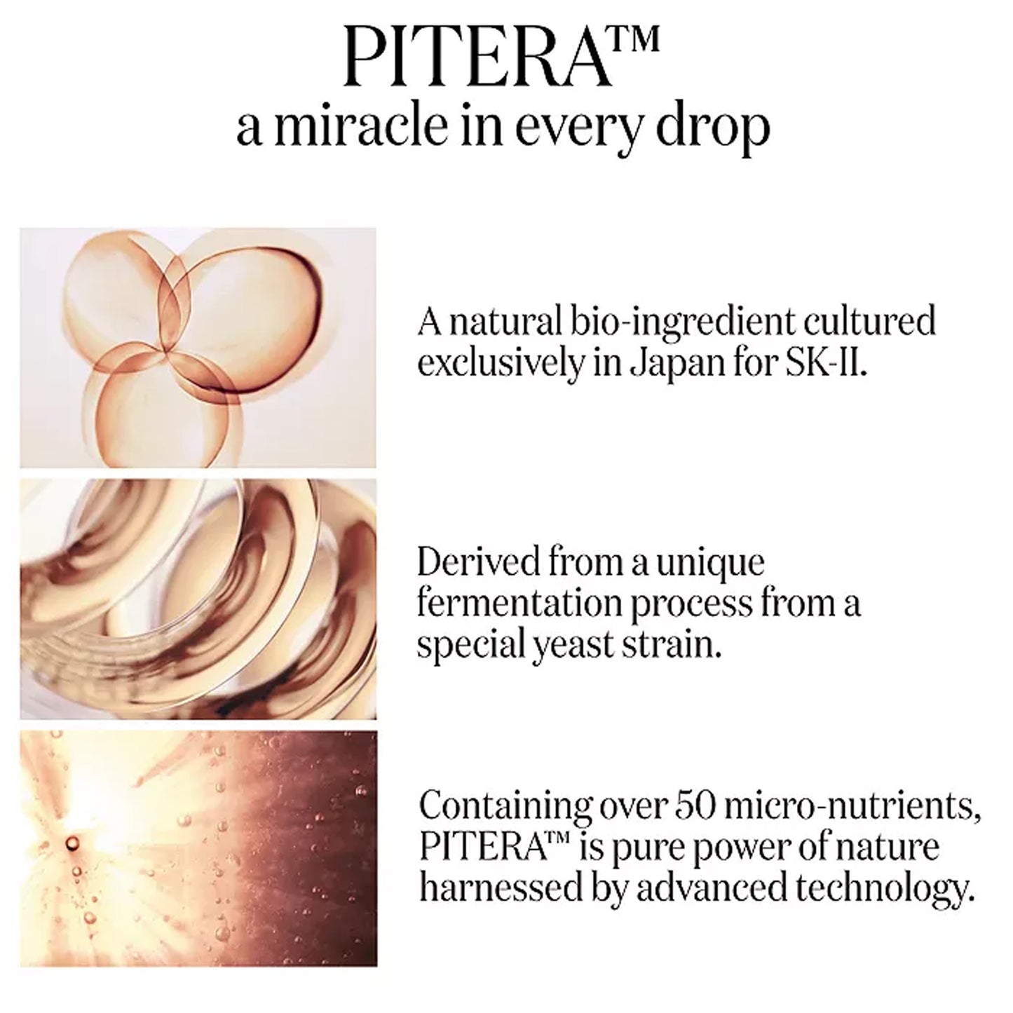 PITERA™ Limited Edition Bestsellers Set