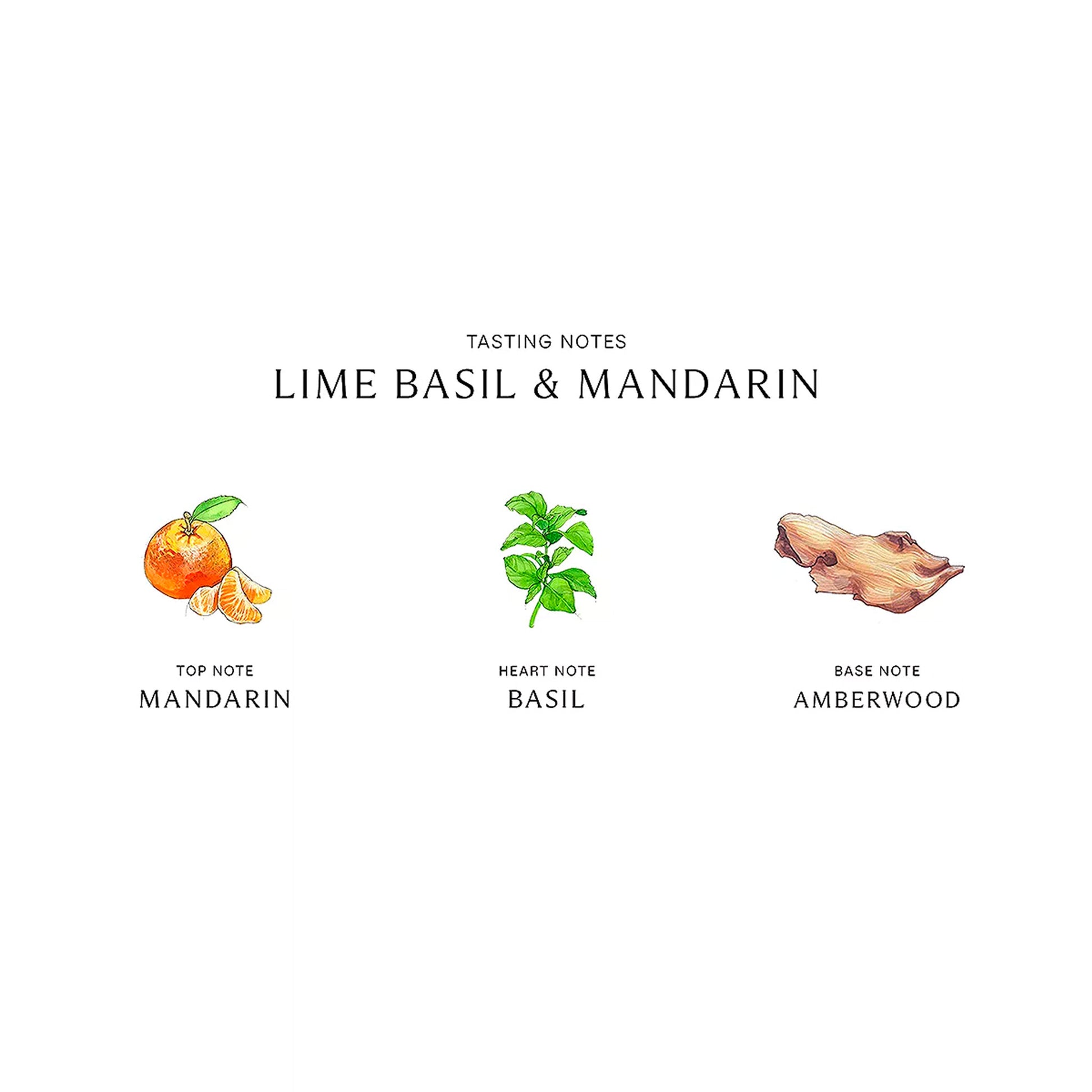 Lime Basil & Mandarin Room Spray, 3.4 oz. - Cosmos Boutique New Jersey